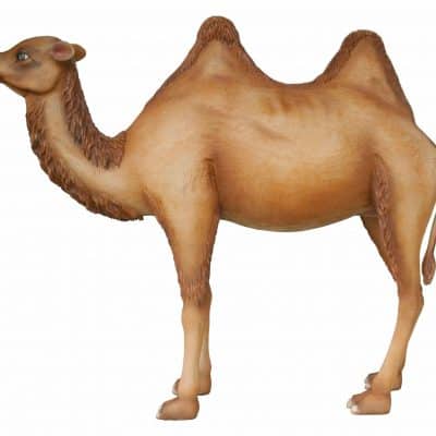 פסל של גמל דו דבשתי עומד